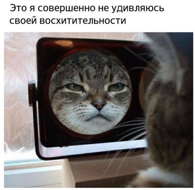 Это я совершенно не удивляюсь своей восхитительности