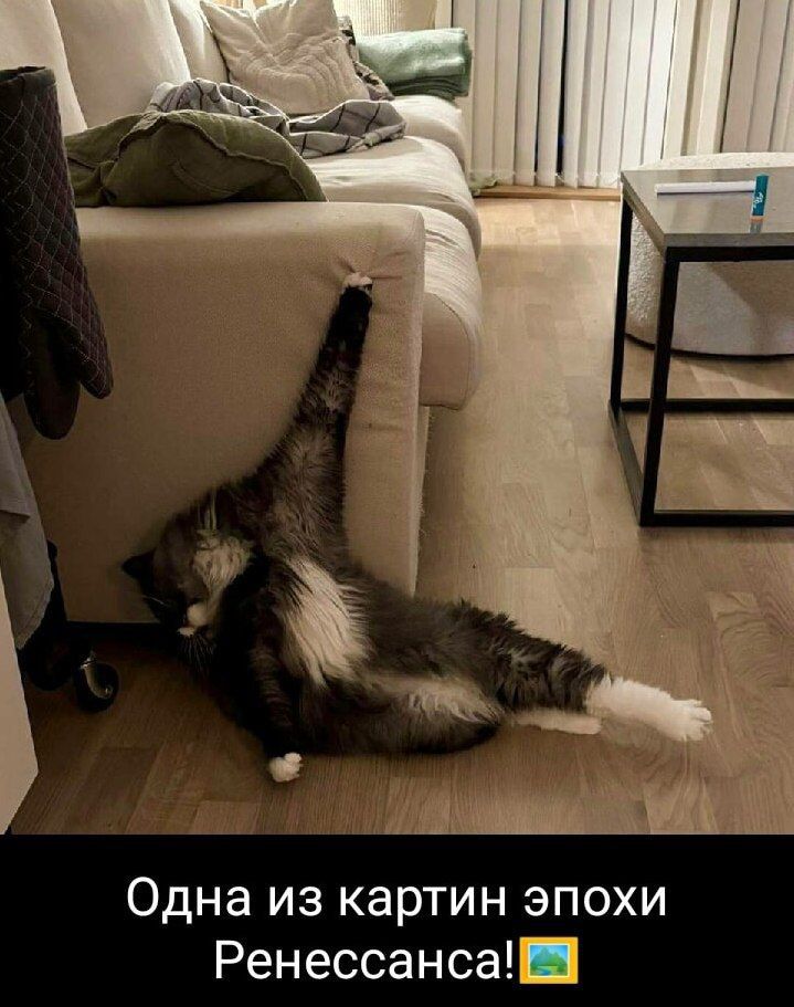 Одна из картин эпохи Ренессанса!🌄