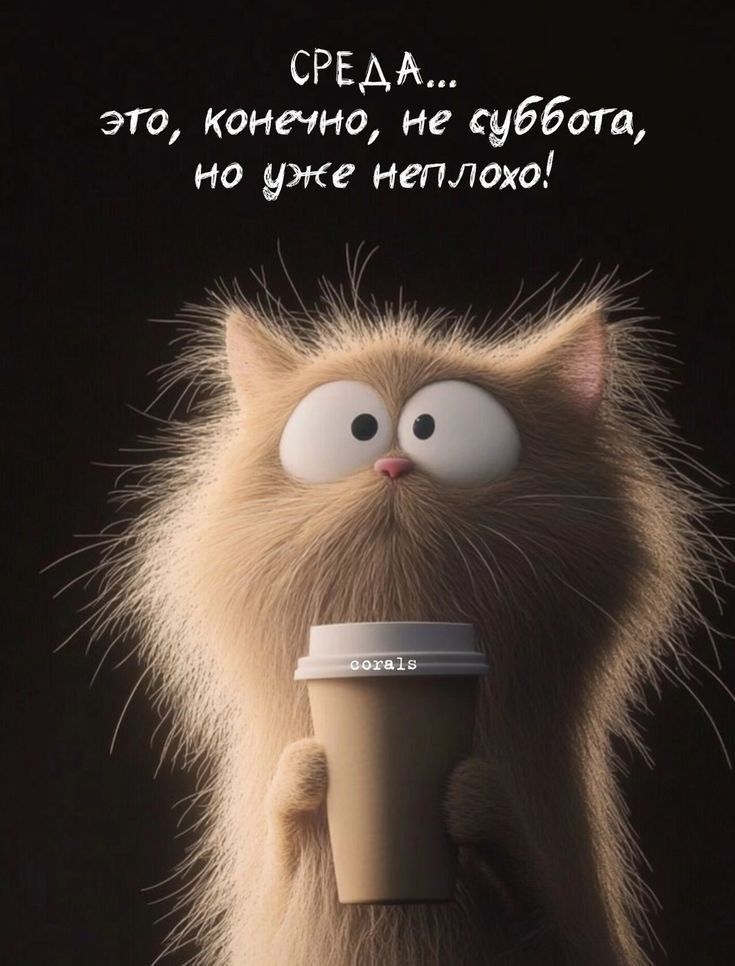 СРЕДА... это, конечно, не суббота, но уже неплохо!