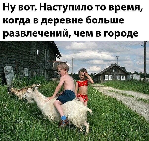 Ну вот. Наступило то время, когда в деревне больше развлечений, чем в городе