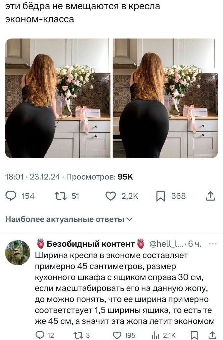 эти бёдра не вмещаются в кресла эконом-класса
18:01 23.12.24 Просмотров: 95K

Ширина кресла в экономе составляет примерно 45 сантиметров, размер кухонного шкафа с ящиком справа 30 см, если масштабировать его на данную жопу, то можно понять, что ее ширина примерно соответствует 1,5 ширины ящика, то есть это же 45 см, а значит эта жопа летит в эконом.