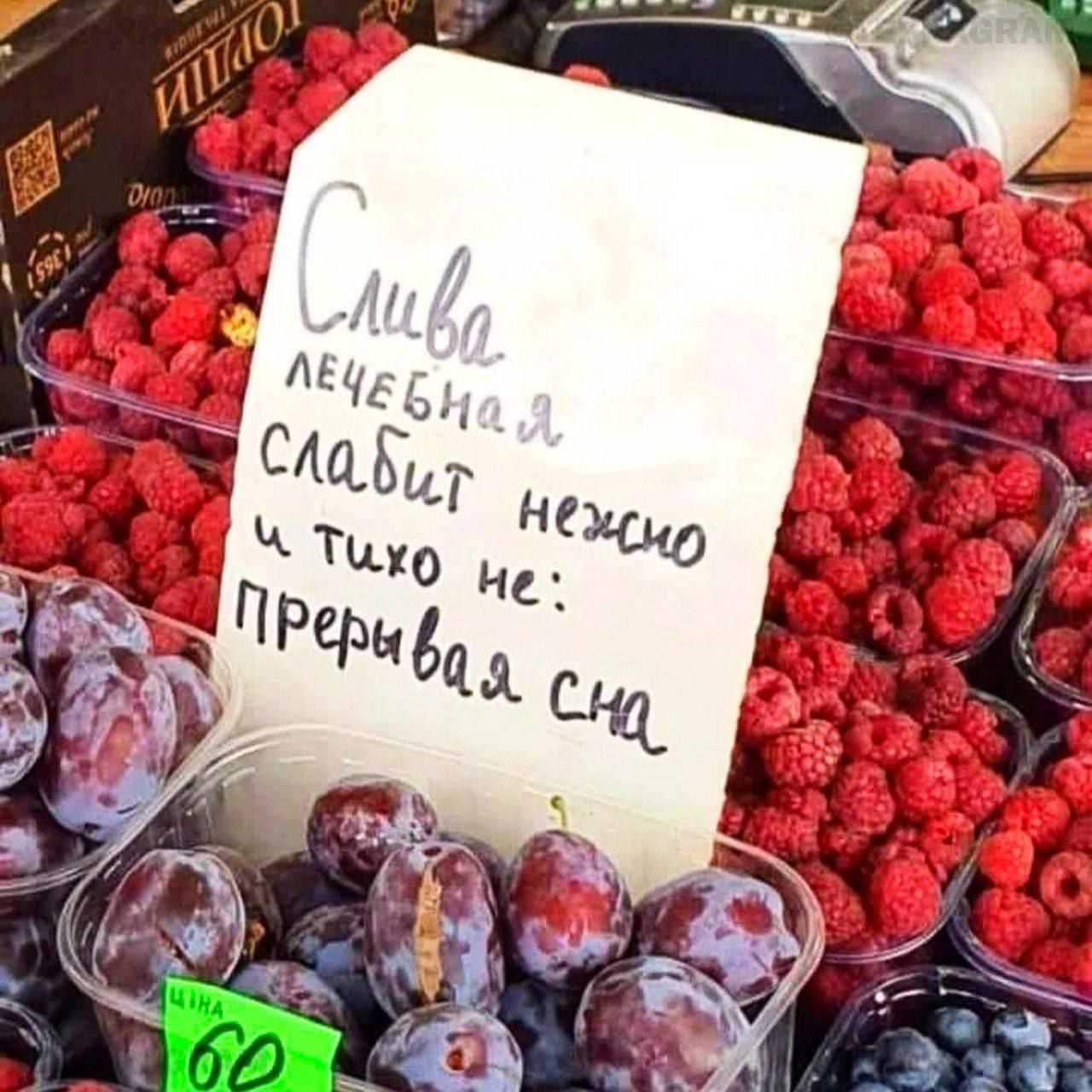 Слива лечебная
Слабит нежно
и тихо не:
Прерывает сна