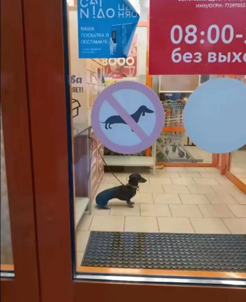 ° — имнуогРН) 7729708

8:00-

без вых‹
