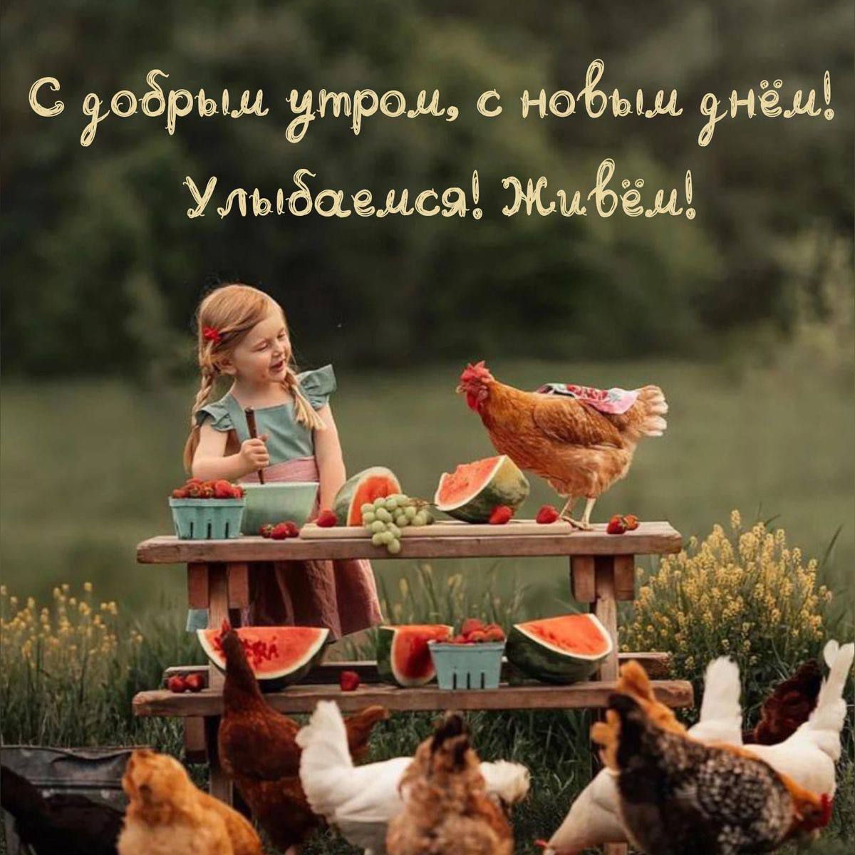 С добрым утром, с новым днём! Улыбаемся! Живём!