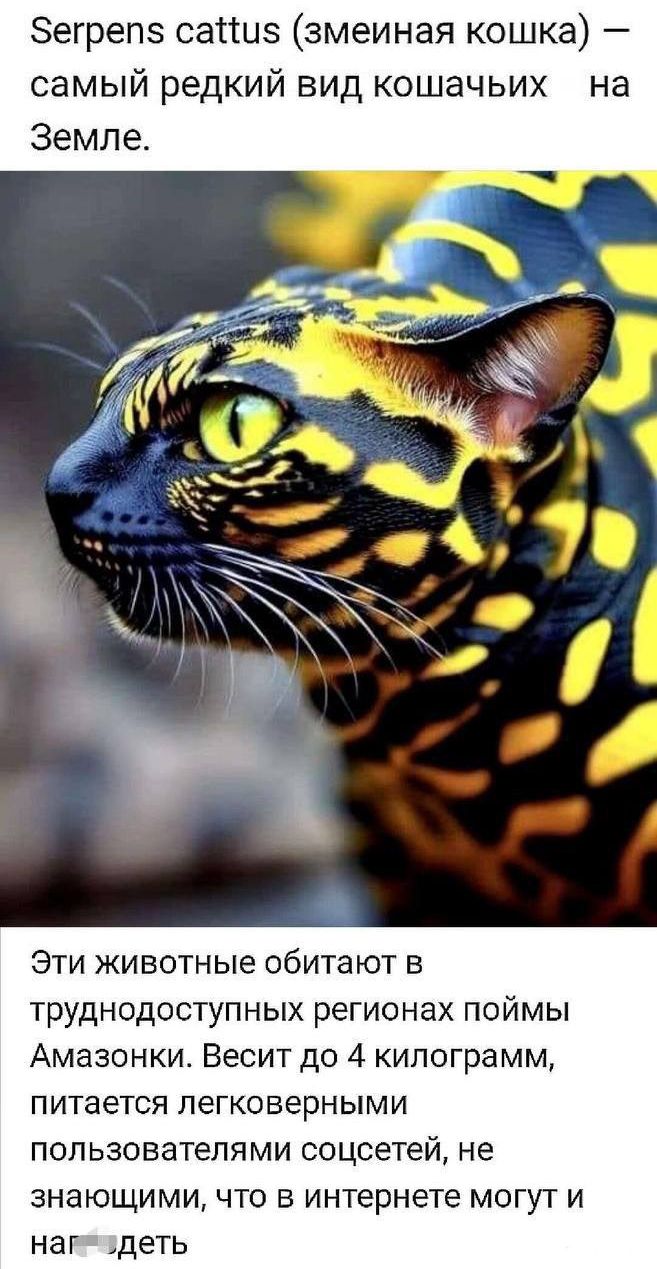 Serpens cattus (змеинная кошка) – самый редкий вид кошачьих на Земле.

Эти животные обитают в труднодоступных регионах поймы Амазонки. Весит до 4 килограмм, питается легковерными пользователями соцсетей, не знающими, что в интернете могут и нага... деть.
