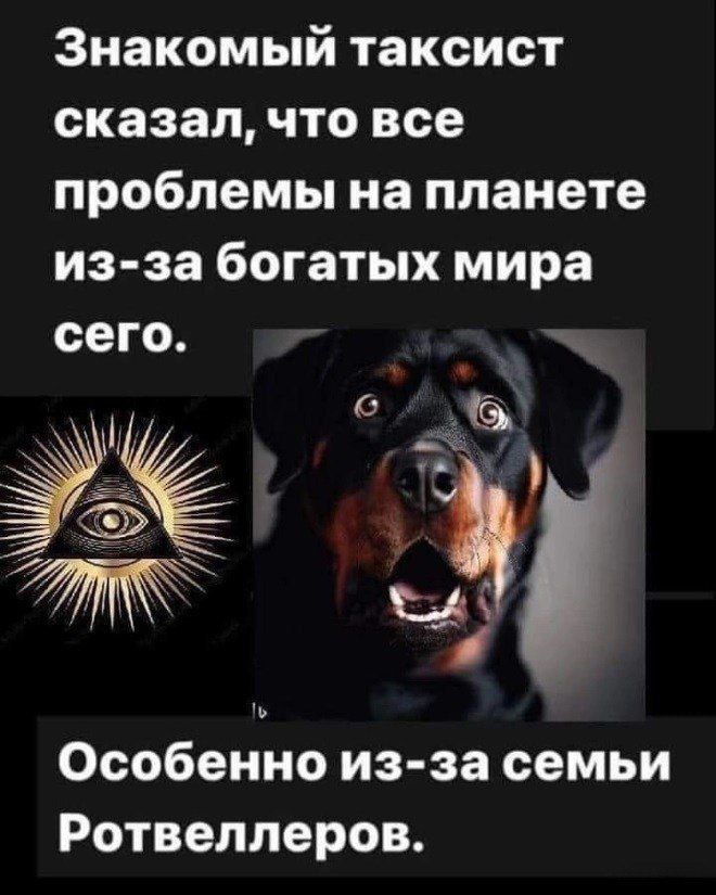 Знакомый таксист сказал, что все проблемы на планете из-за богатых мира сего.
Особенно из-за семьи Ротвеллеров.