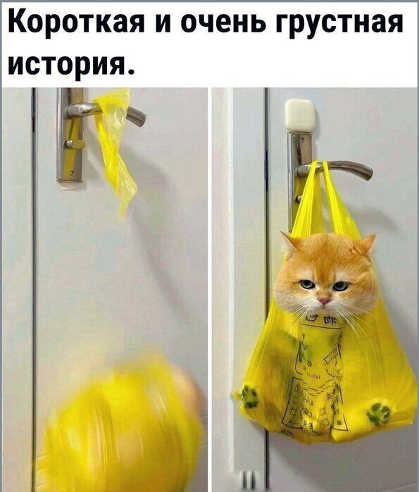 Короткая и очень грустная история.