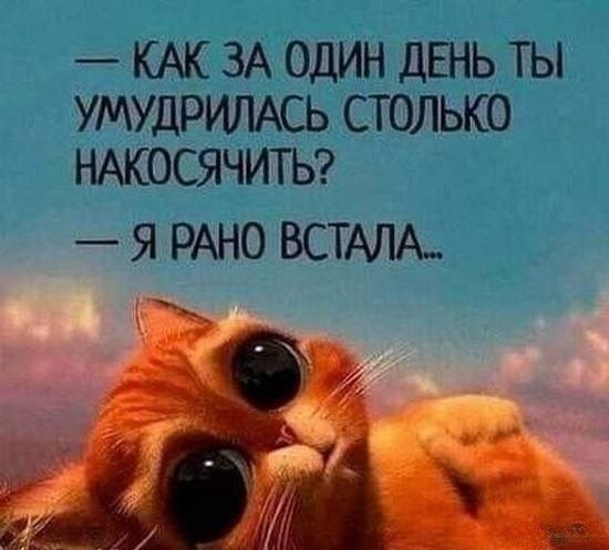 — Как за один день ты умудрилась столько накосячить?  — Я рано встала...