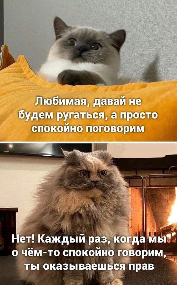 Любимая, давай не будем ругаться, а просто спокойно поговорим
Нет! Каждый раз, когда мы о чём-то спокойно говорим, ты оказываешься прав