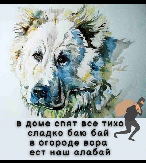 в доме спят все тихо сладко баю-баю в огороде вора есть наш алабай