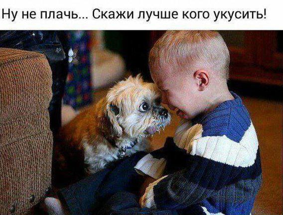 Ну не плач... Скажи лучше кого укусить!