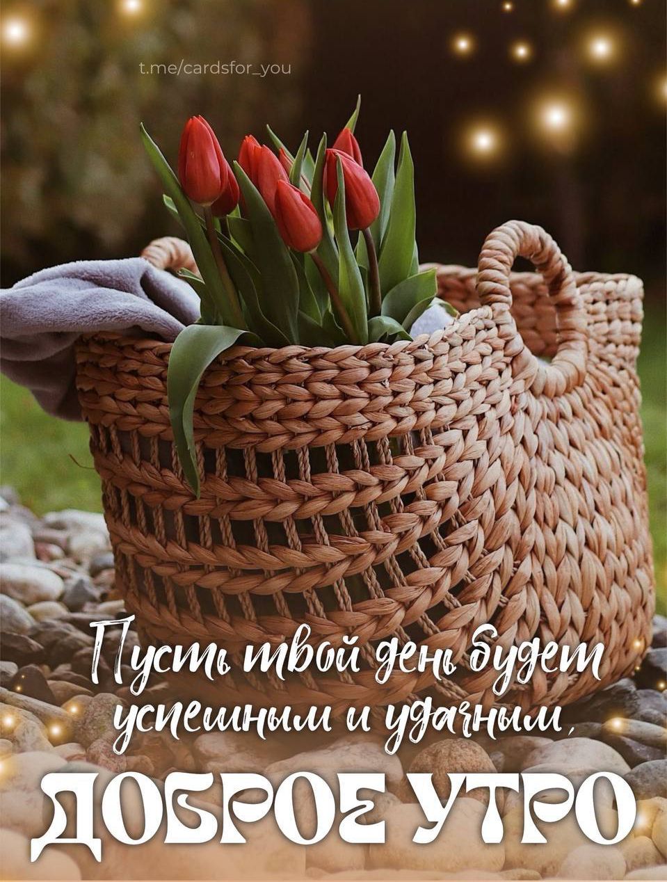 Пусть твой день будет успешным и удачным.
ДОБРОЕ УТРО