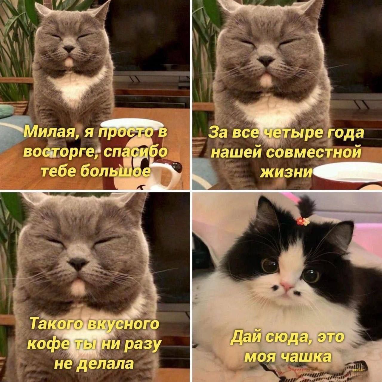 Миленькая, я просто в восторге, спасибо тебе большое
За все четыре года нашей совместной жизни
Такого вкусного кофе ты ни разу не делала
Дай сюда, это моя чашка