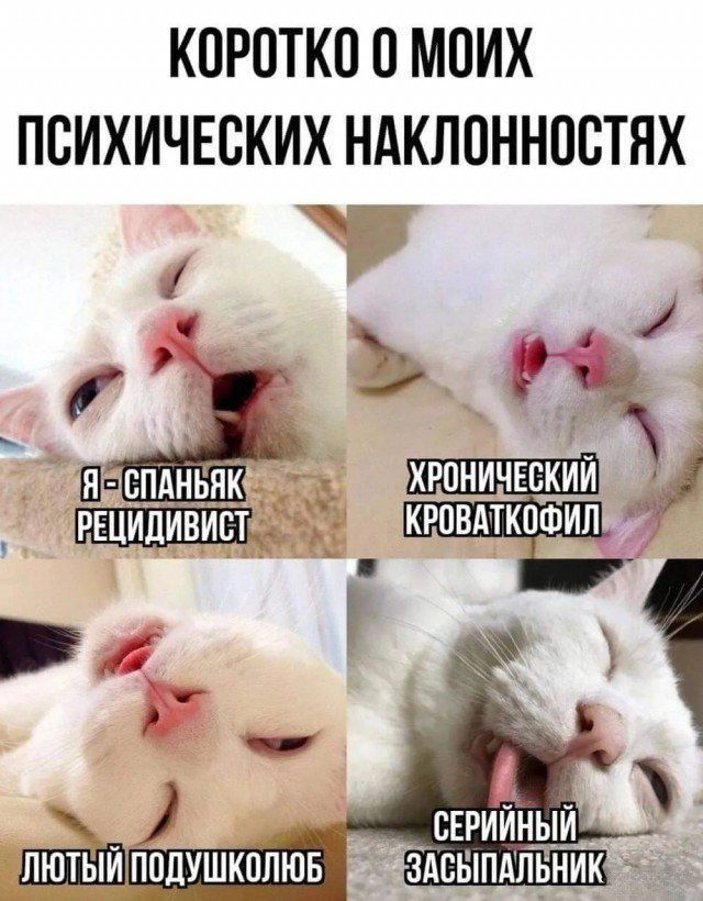 Коротко о моих психических наклонностях

Я - спаньяк рецидивист
Хронический кробаткофил
Лютый подушкольоб
Серыйный засыпальник