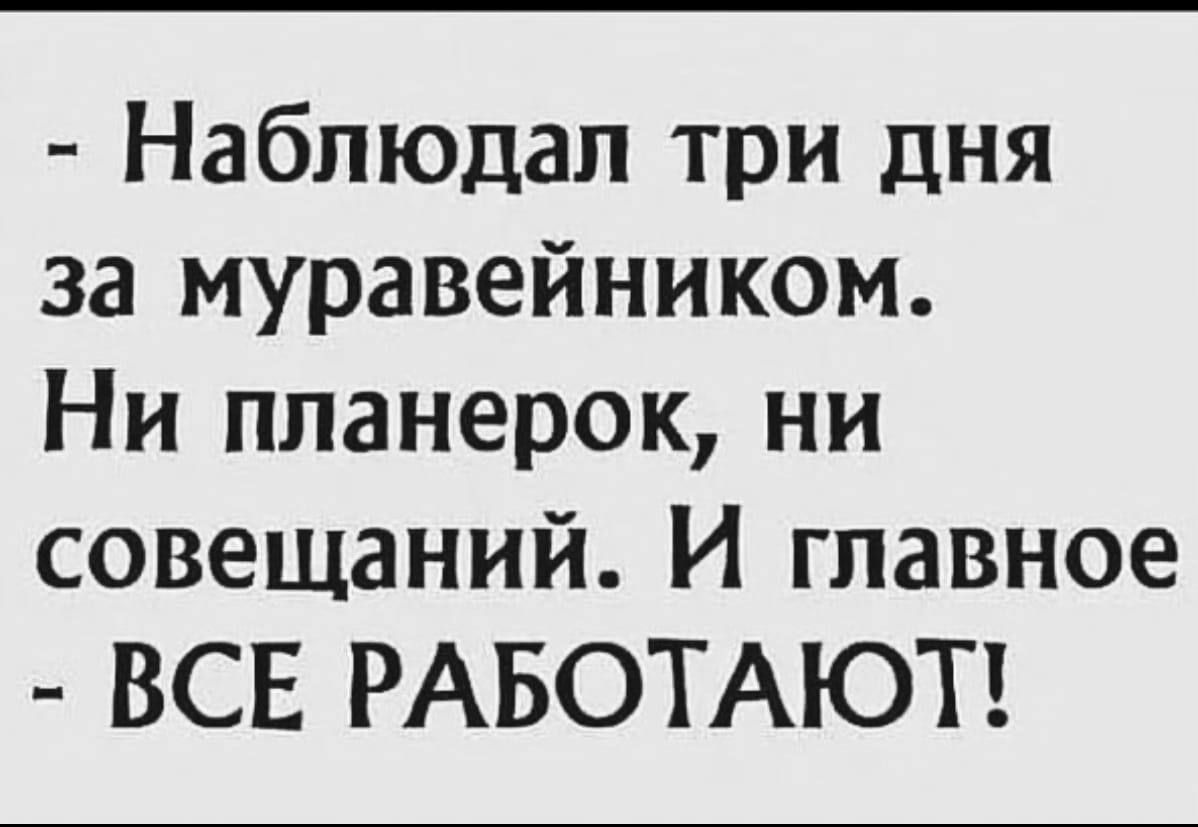 - Наблюдал три дня за муравейником. Ни планерок, ни совещаний. И главное - ВСЕ РАБОТАЮТ!