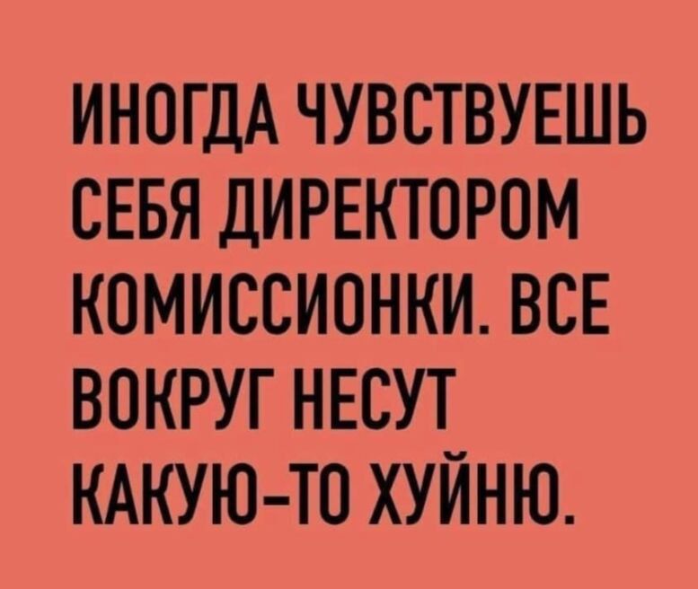 ИНОГДА ЧУВСТВУЕШЬ СЕБЯ ДИРЕКТОРОМ КОМИССИОНКИ. ВСЕ ВОКРУГ НЕСУТ КАКУЮ-ТО ХУЙНЮ.