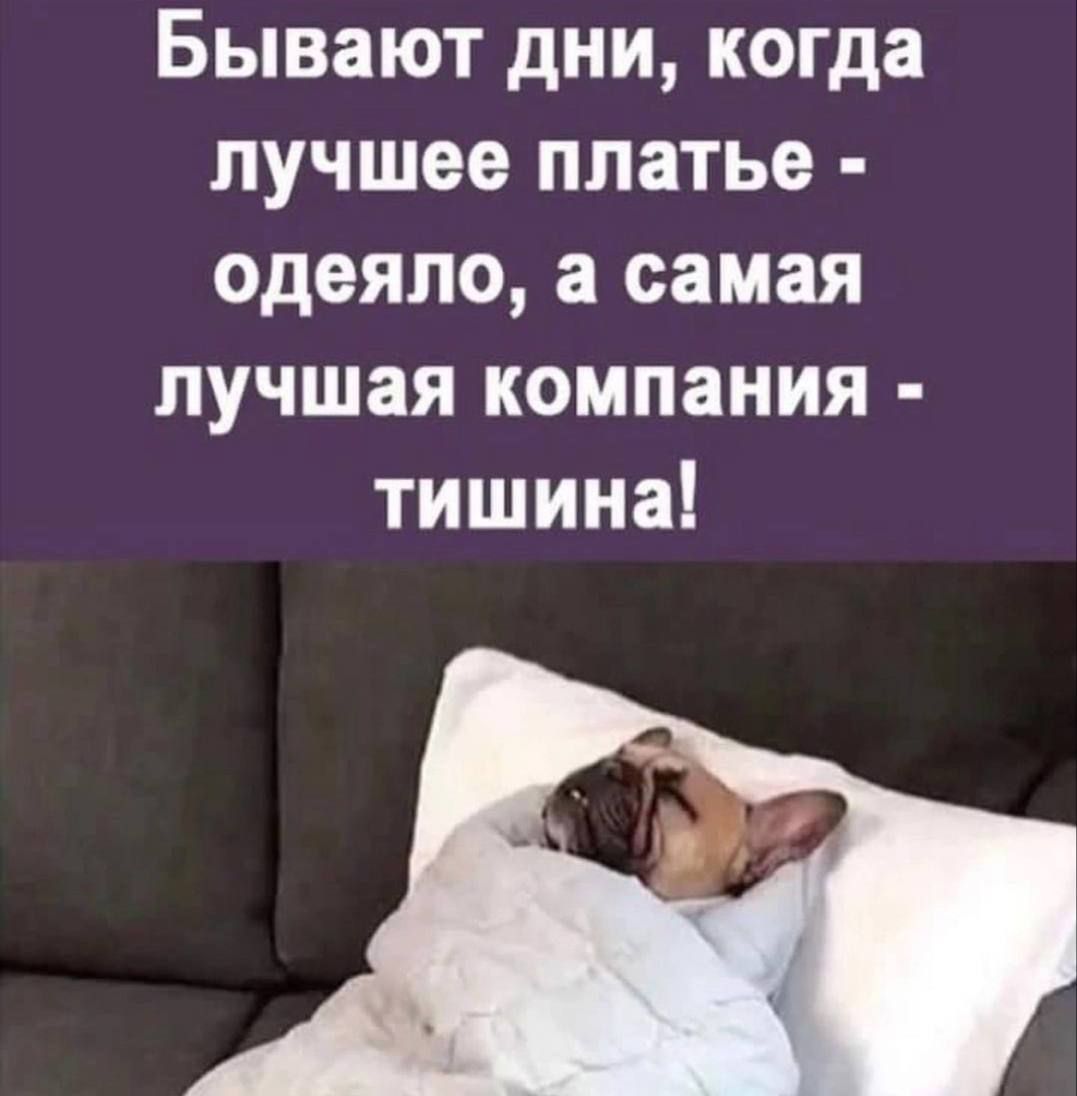 Бывают дни, когда лучшее платье - одеяло, а самая лучшая компания - тишина!