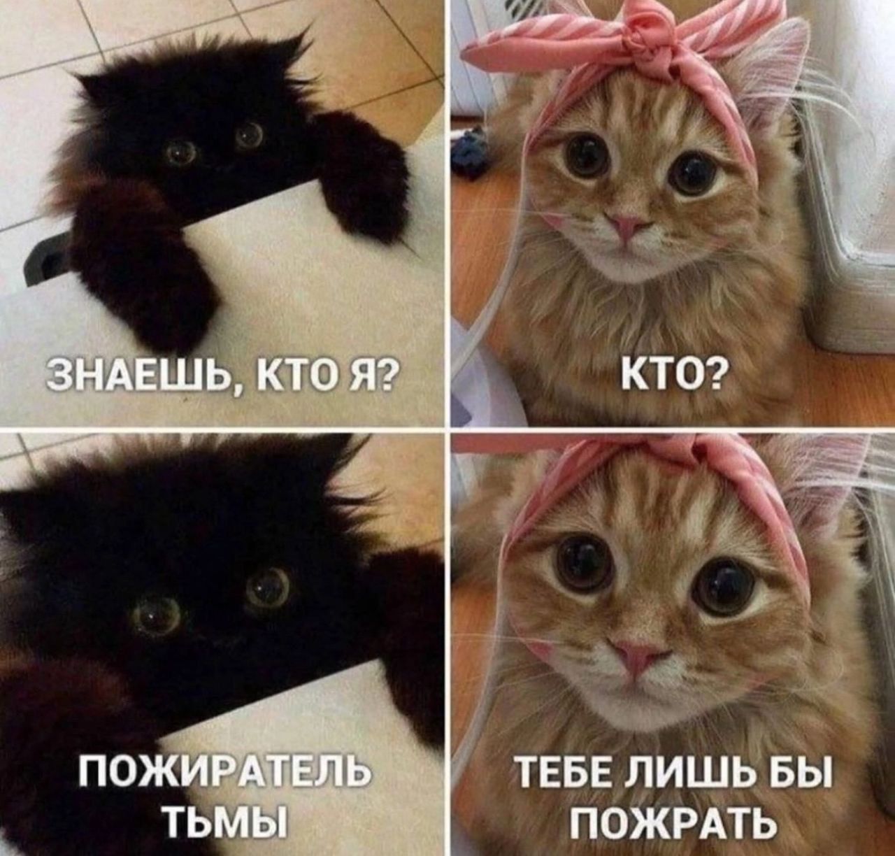 Знаешь, кто я?
Кто?
Пожиратель тьмы
Тебе лишь бы пожрать