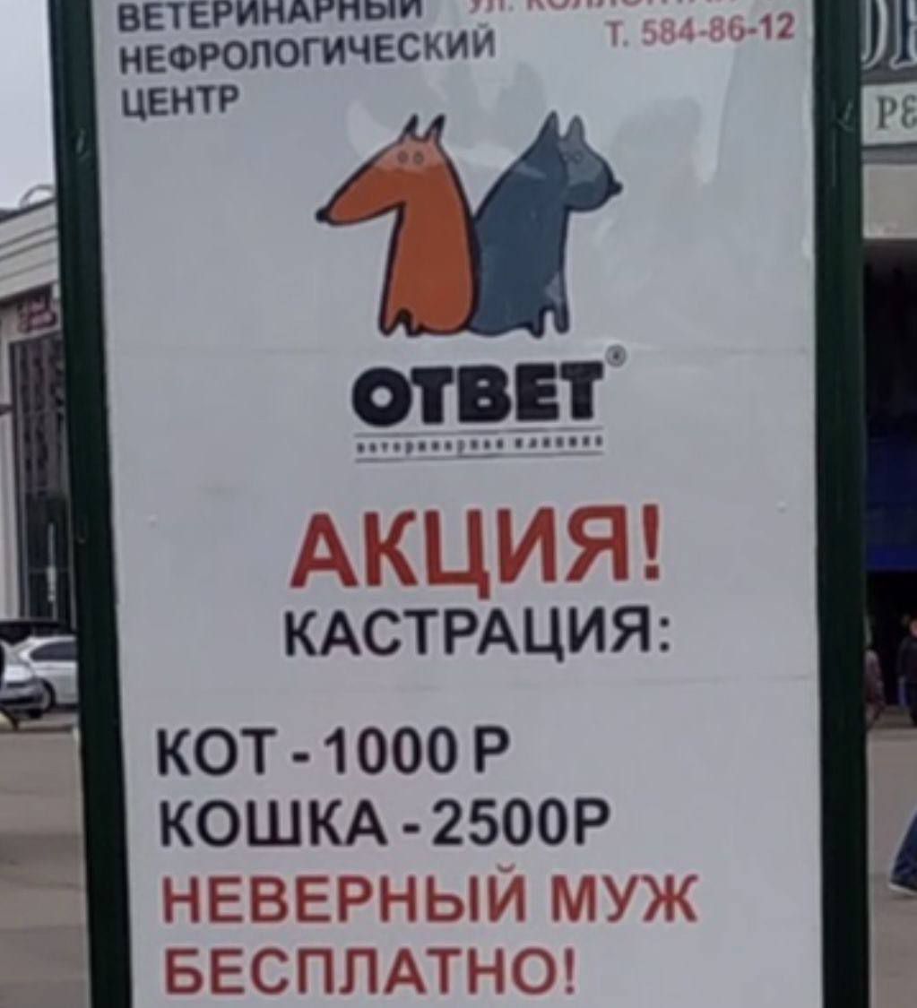 АКЦИЯ! КАСТРАЦИЯ: КОТ - 1000 Р КОШКА - 2500Р Неверный муж БЕСПЛАТНО!