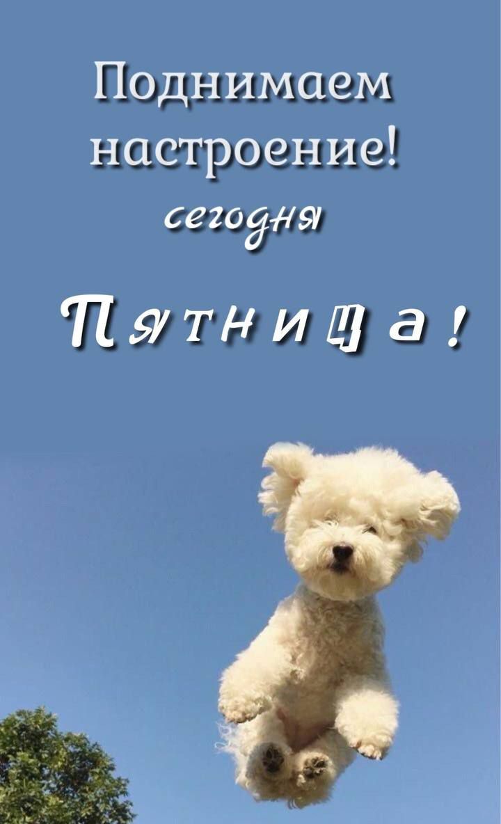 Поднимаем настроение! сегодня Пятница!