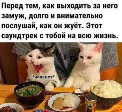 Перед тем, как выходить за него замуж, долго и внимательно послушай, как он жует. Этот саундтрек с тобой на всю жизнь.
*чавкает*
