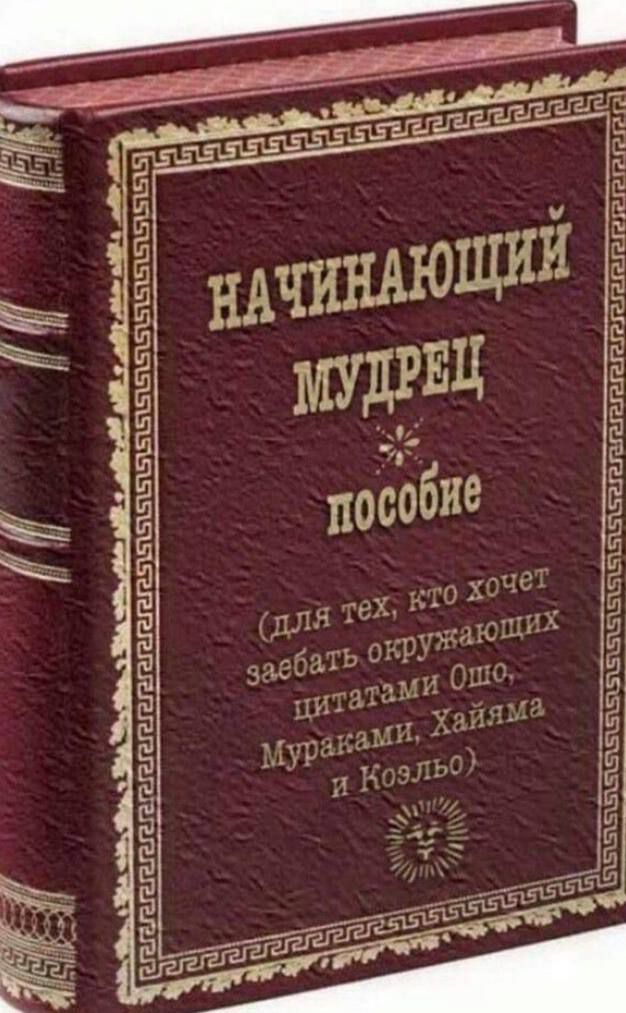 НАЧИНАЮЩИЙ МУДРЕЦ пособие (для тех, кто хочет заебать окружающих цитатами Ошо, Мураками, Хайямом и Кёльо)