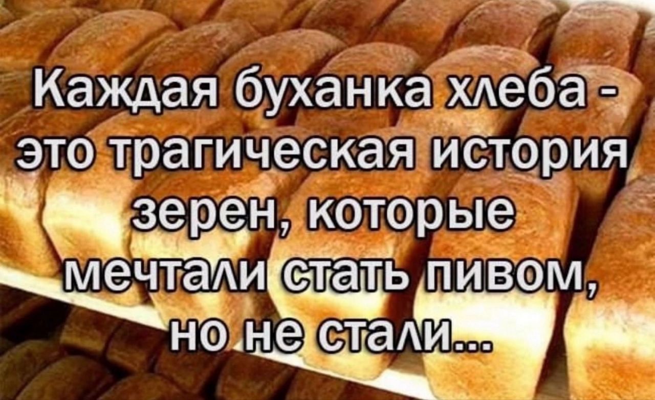 Каждая буханка хлеба - это трагическая история зерен, которые мечтали стать пивом, но не стали...