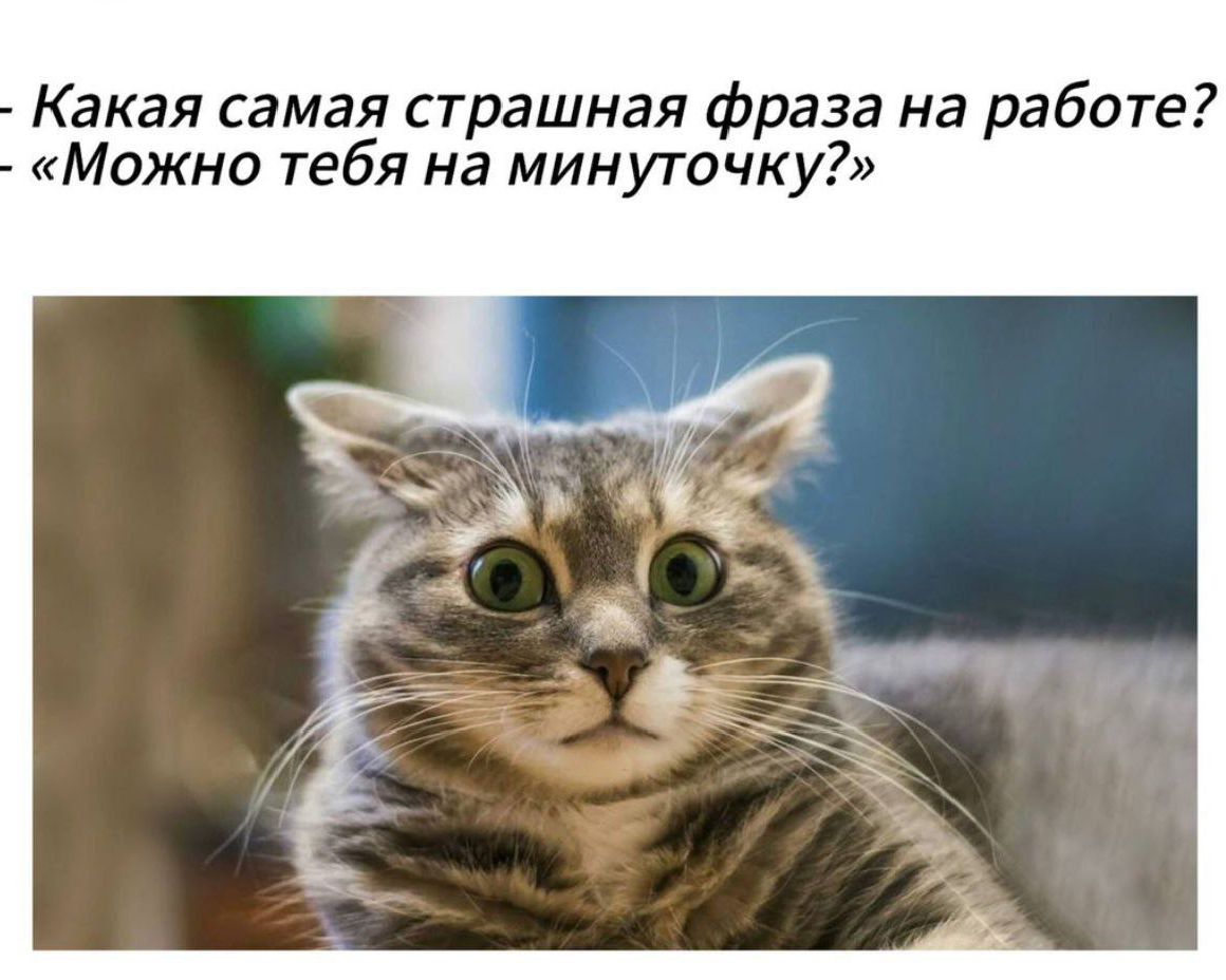 - Какая самая страшная фраза на работе? - «Можно тебя на минутку?»