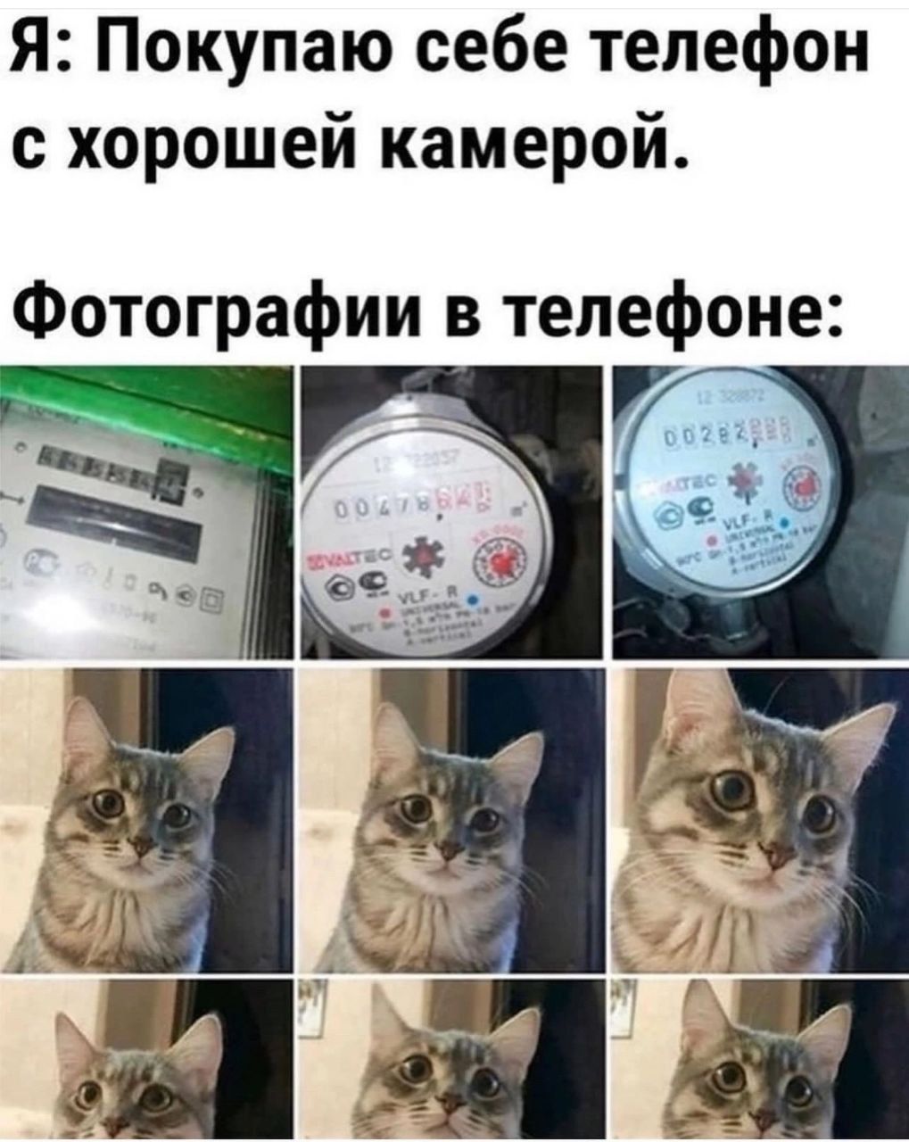 Я: Покупаю себе телефон с хорошей камерой.
Фотографии в телефоне:
