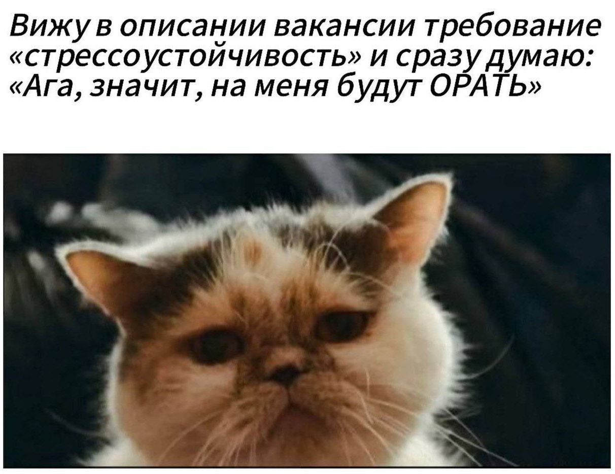 Вижу в описании вакансии требование «стрессоустойчивость» и сразу думаю: «Ага, значит, на меня будут ОРАТЬ»