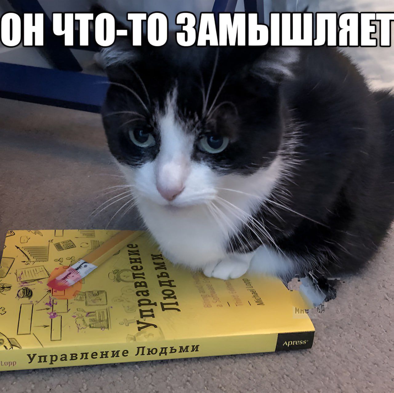 ОН ЧТО-ТО ЗАМИШЛЯЕТ