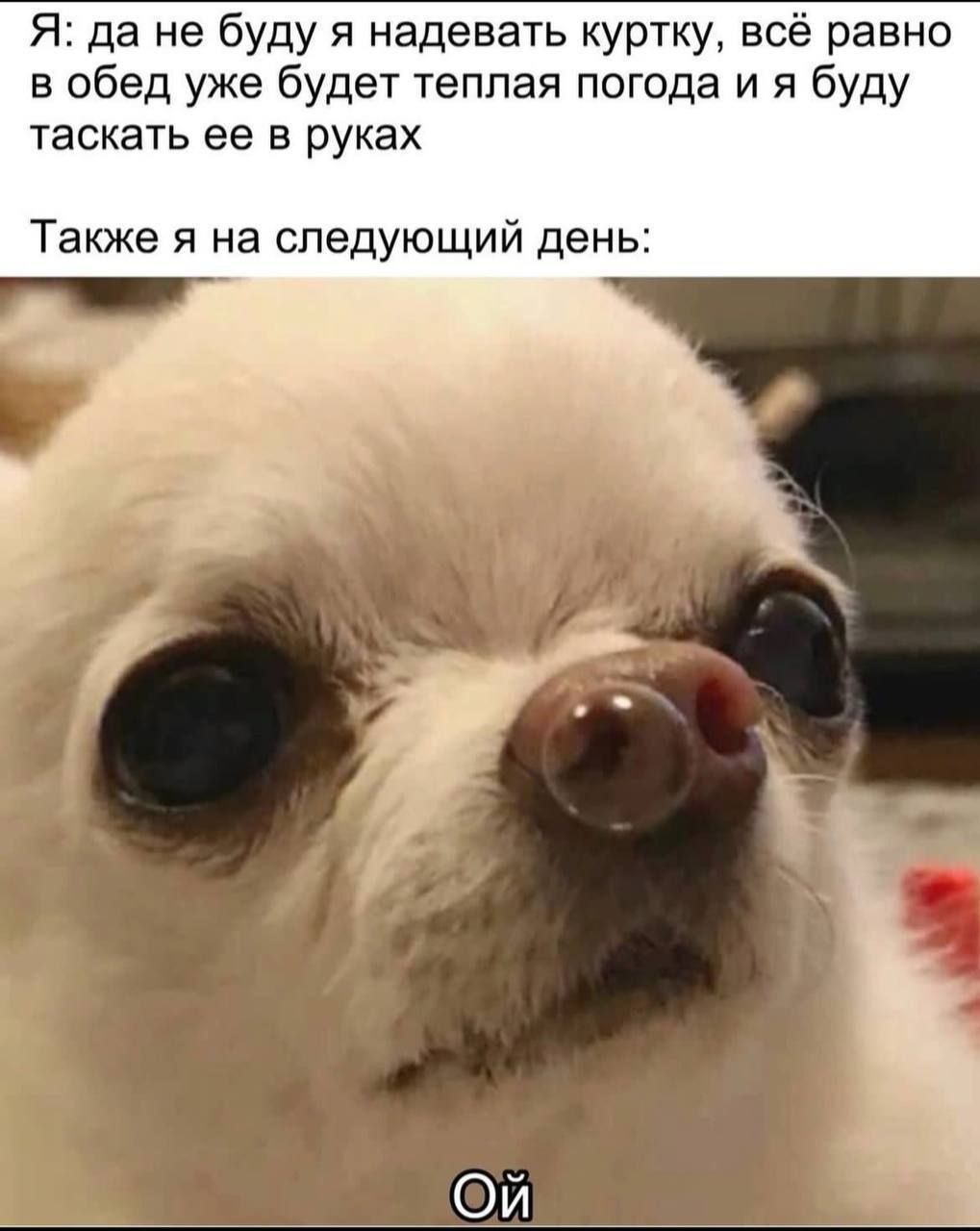 Я: да не буду я надевать куртку, всё равно в обед уже будет теплая погода и я буду таскать ее в руках
Также я на следующий день:
Ой