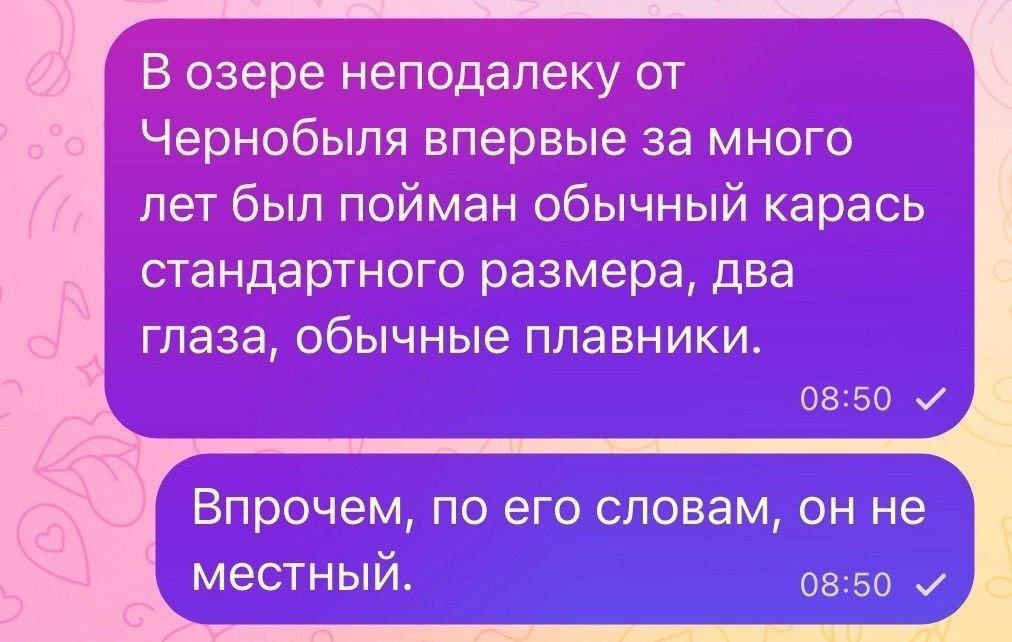 В озере неподалеку от Чернобыля впервые за много лет был пойман обычный карась стандартного размера, два глаза, обычные плавники. Впрочем, по его словам, он не местный.