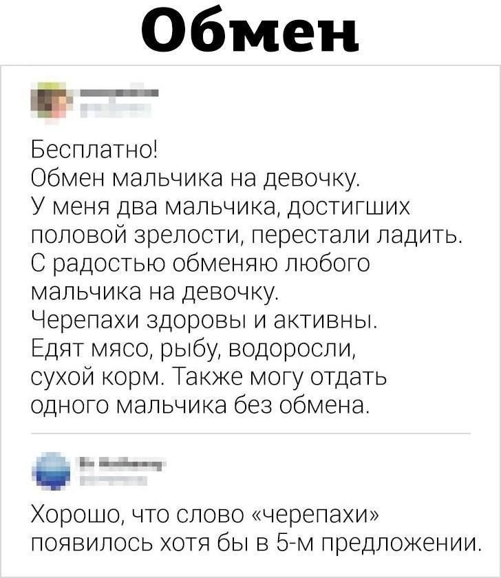 Обмен

Бесплатно!
Обмен мальчика на девочку.
У меня два мальчика, достигших половой зрелости, перестали ладить.
С радостью обменяю любого мальчика на девочку.
Черепахи здоровы и активны.
Едят мясо, рыбу, водоросли, сухой корм. Также могу отдать одного мальчика без обмена.

Хорошо, что слово «черепахи» появилось хотя бы в 5-м предложении.