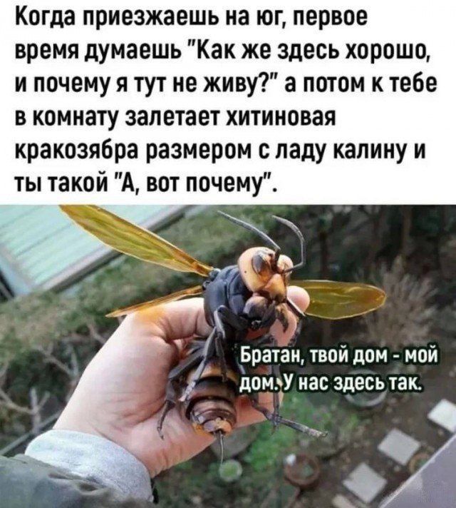 Когда приезжаешь на юг, первое время думаешь 