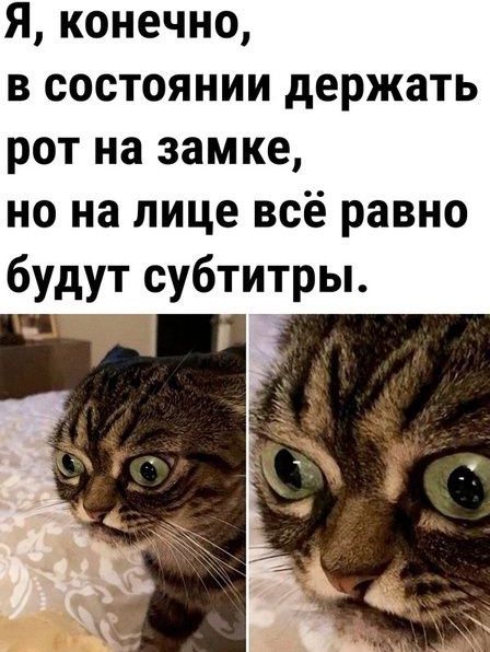 Я, конечно,
в состоянии держать
рот на замке,
но на лице всё равно
будут субтитры.