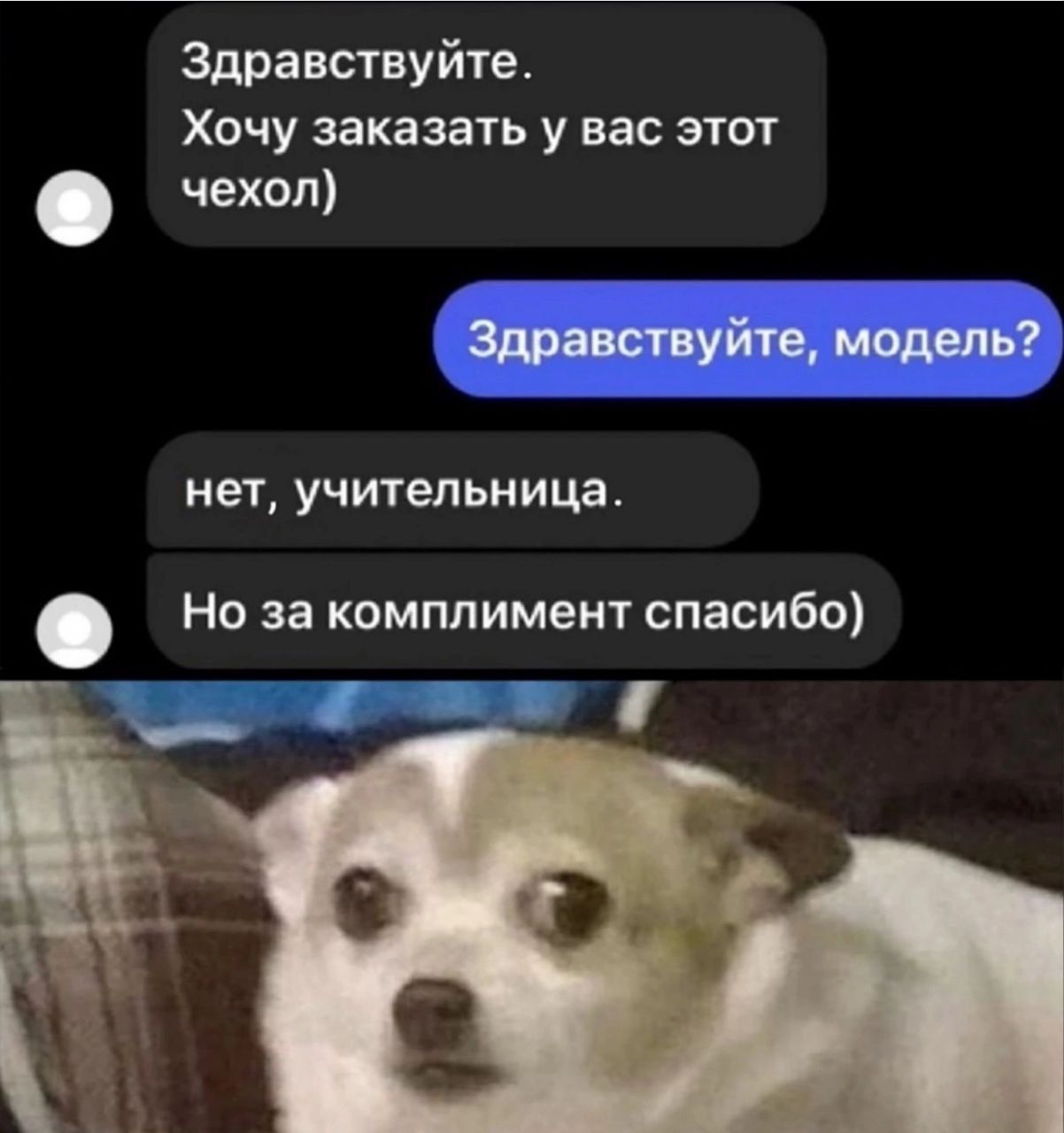 Здравствуйте. Хочу заказать у вас этот чехол) Здравствуйте, модель? нет, учительница. Но за комплимент спасибо)