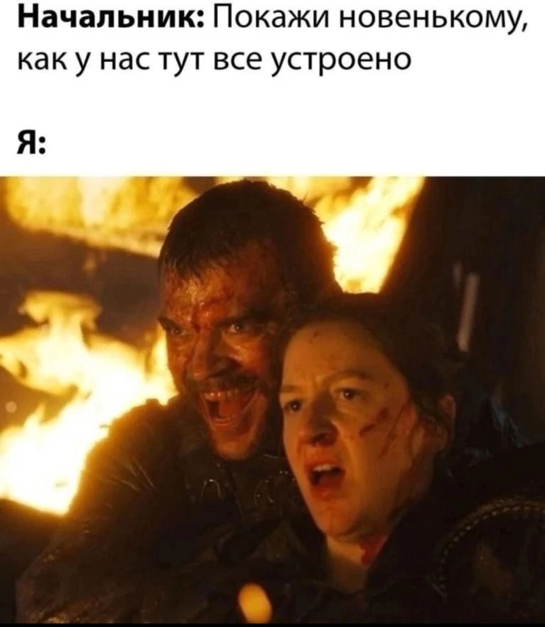 Начальник: Покажи новенькому, как у нас тут все устроено
Я:
