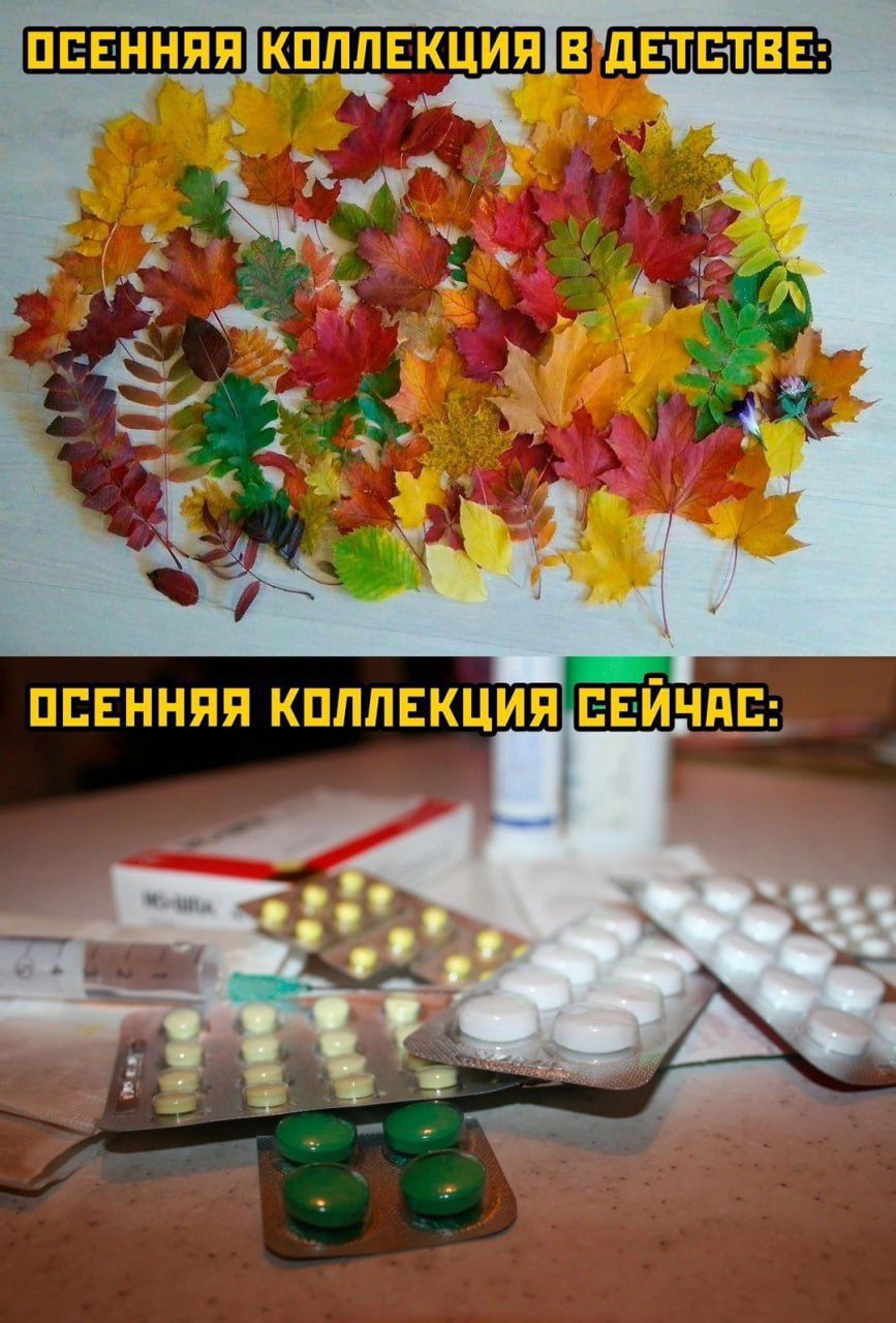 ОСЕННЯЯ КОЛЛЕКЦИЯ В ДЕТСТВЕ:
ОСЕННЯЯ КОЛЛЕКЦИЯ СЕЙЧАС: