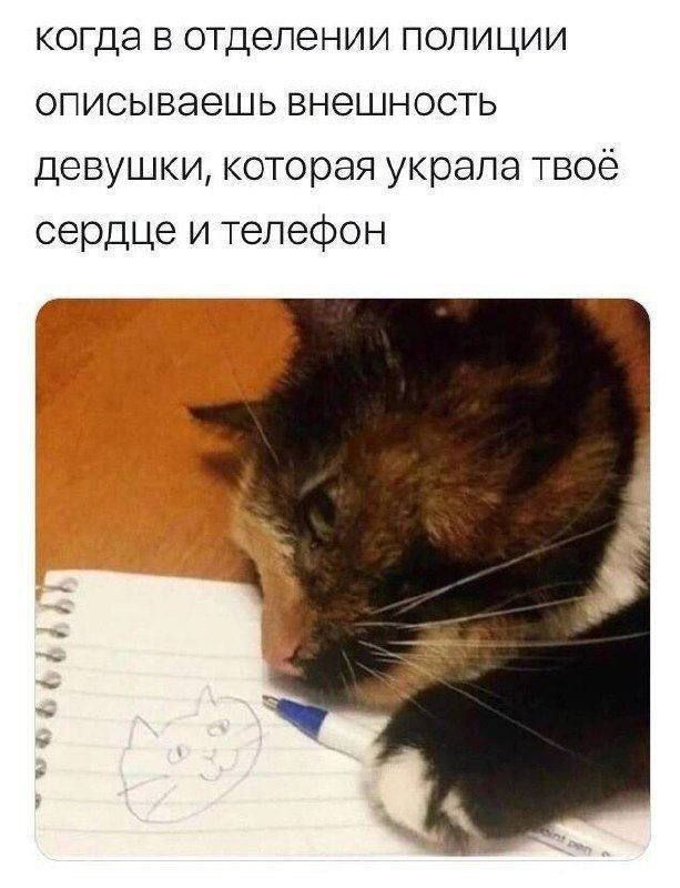 когда в отделении полиции описываешь внешность девушки, которая украла твоё сердце и телефон