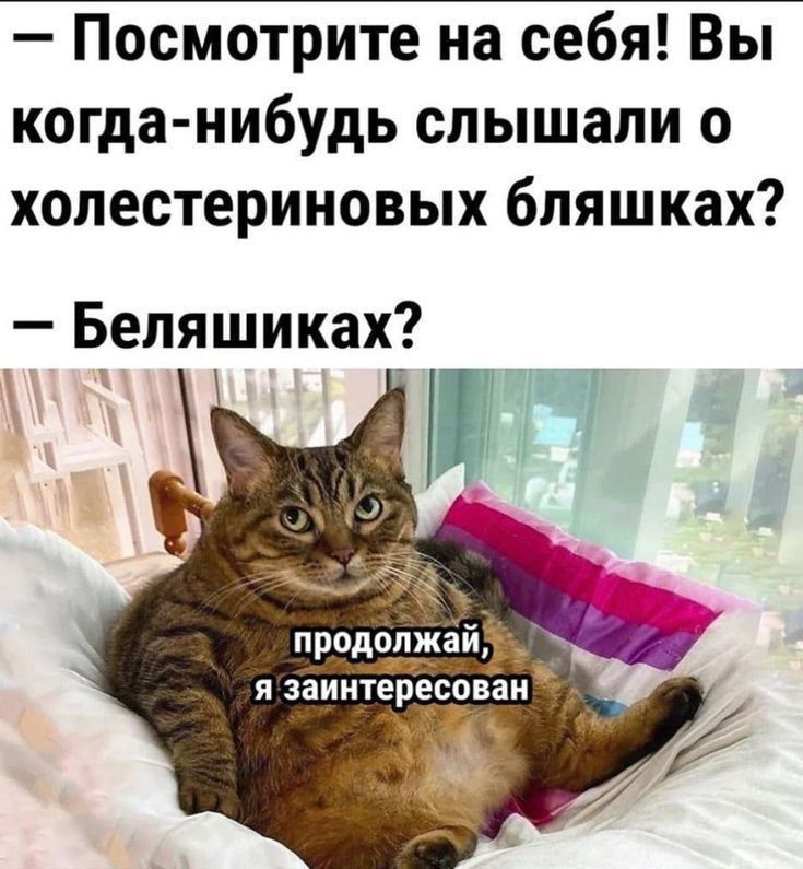— Посмотрите на себя! Вы когда-нибудь слышали о холестеринивых бляшка? — Беляшиках? продолжай, я заинтересован