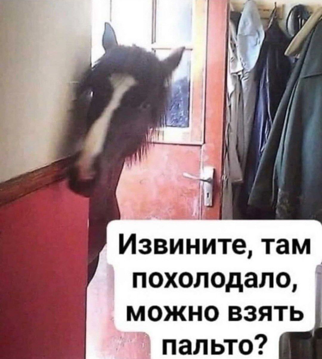Извините, там похолодало, можно взять пальто?