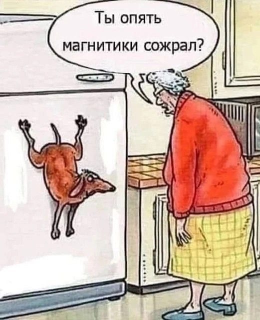 Ты опять магнитики съел?