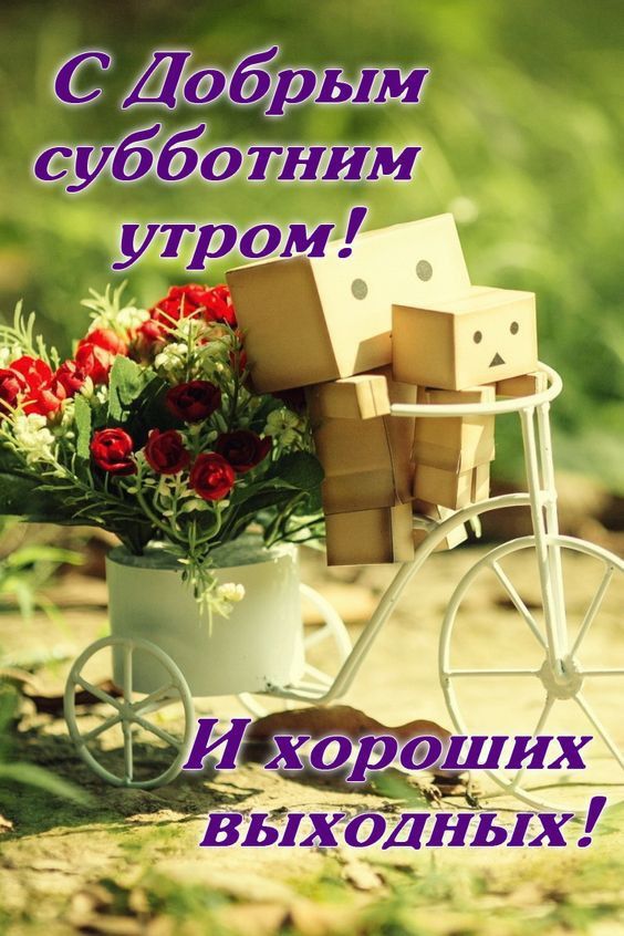С Добрым субботним утром! И хороших выходных!