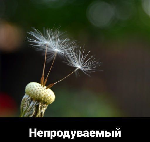 Непродуваемый
