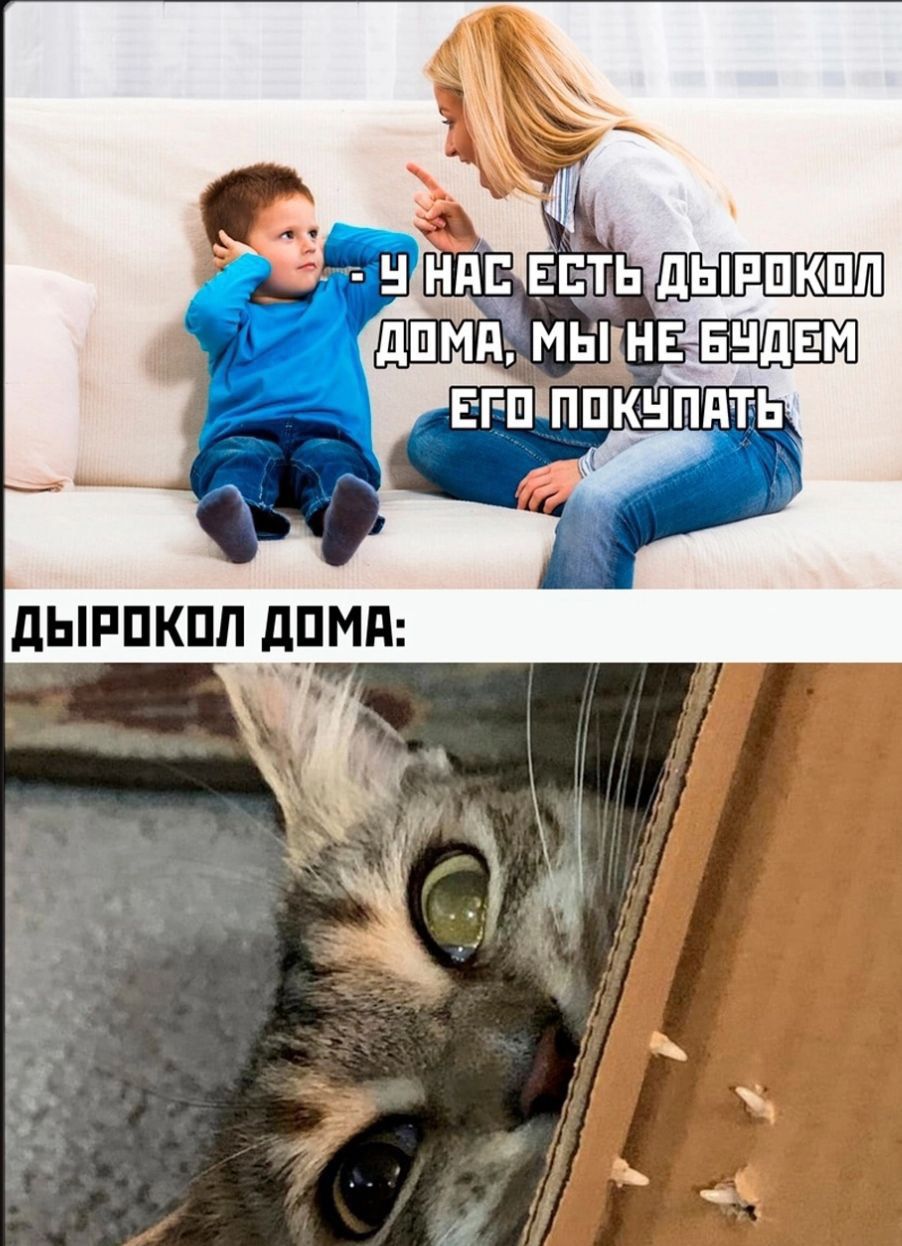 - У нас есть дырокол дома, мы не будем его покупать.
ДЫРОКОЛ ДОМА:
(изображение кота, выглядывающего из коробки)