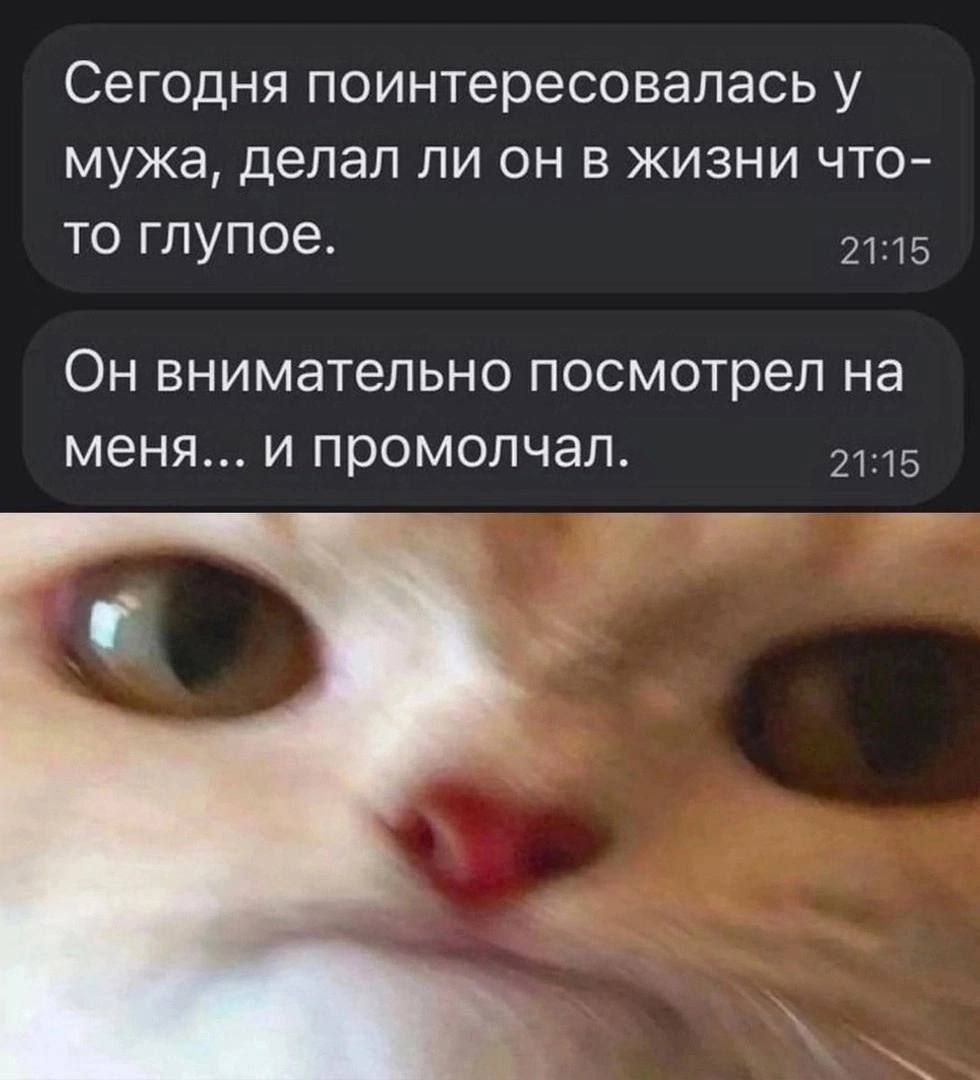 Сегодня поинтересовалась у мужа, делал ли он в жизни что-то глупое.
Он внимательно посмотрел на меня... и промолчал.