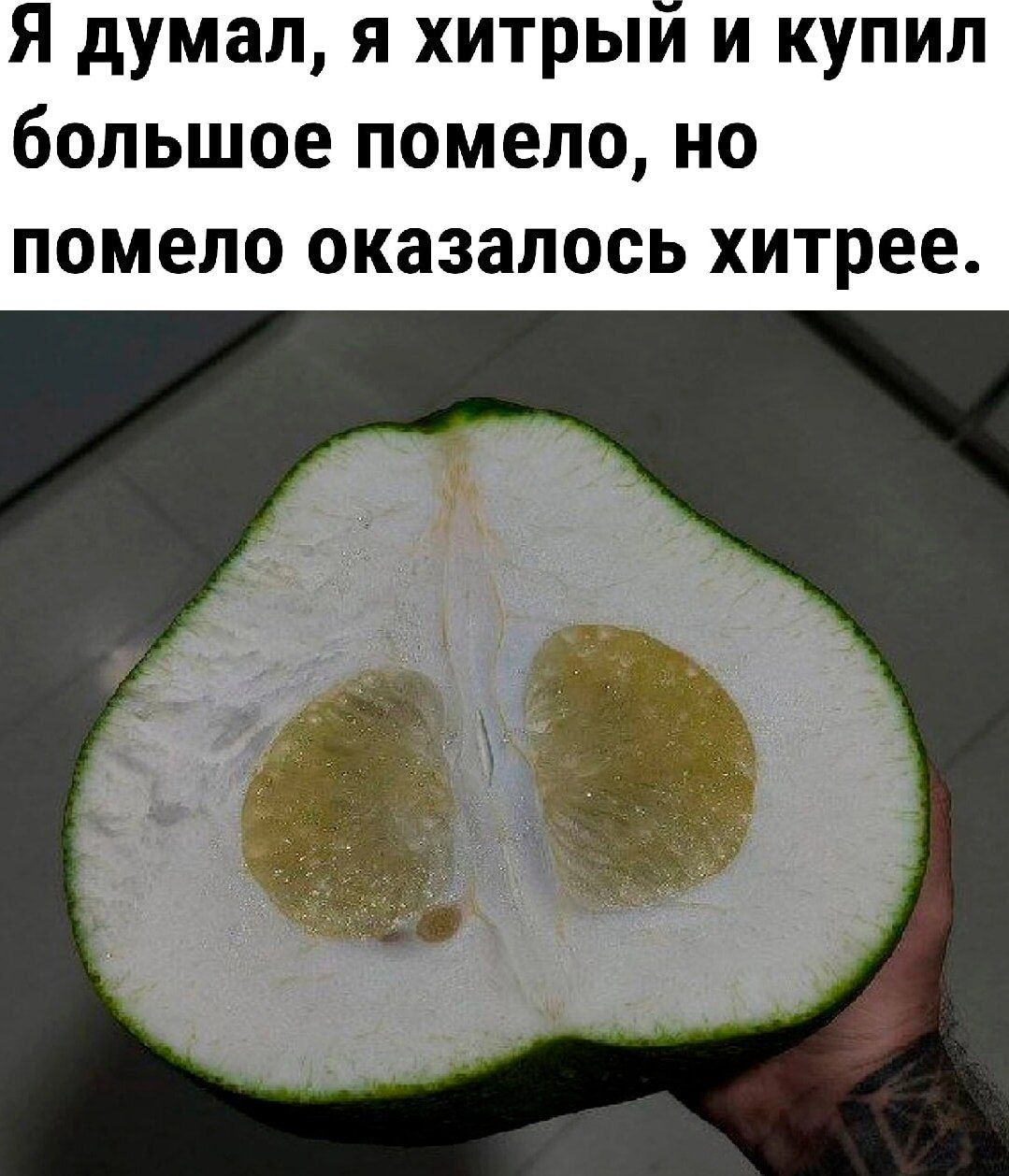 Я думал, я хитрый и купил большое помело, но помело оказалось хитрее.