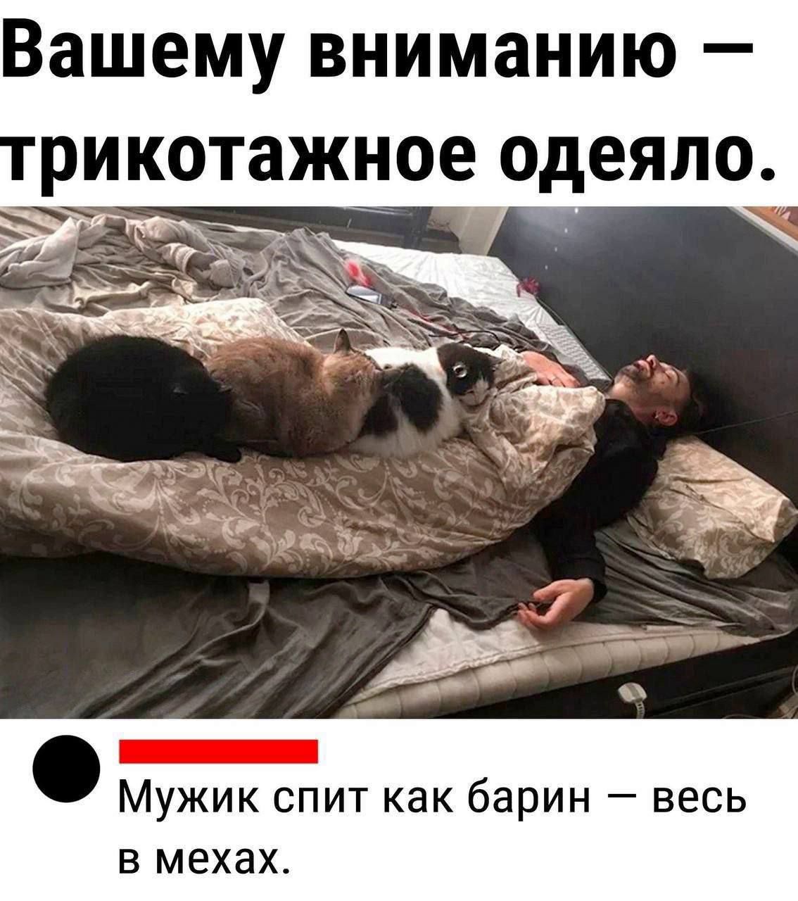 Вашему вниманию — трикотажное одеяло.

— Мужик спит как барин — весь в мехах.