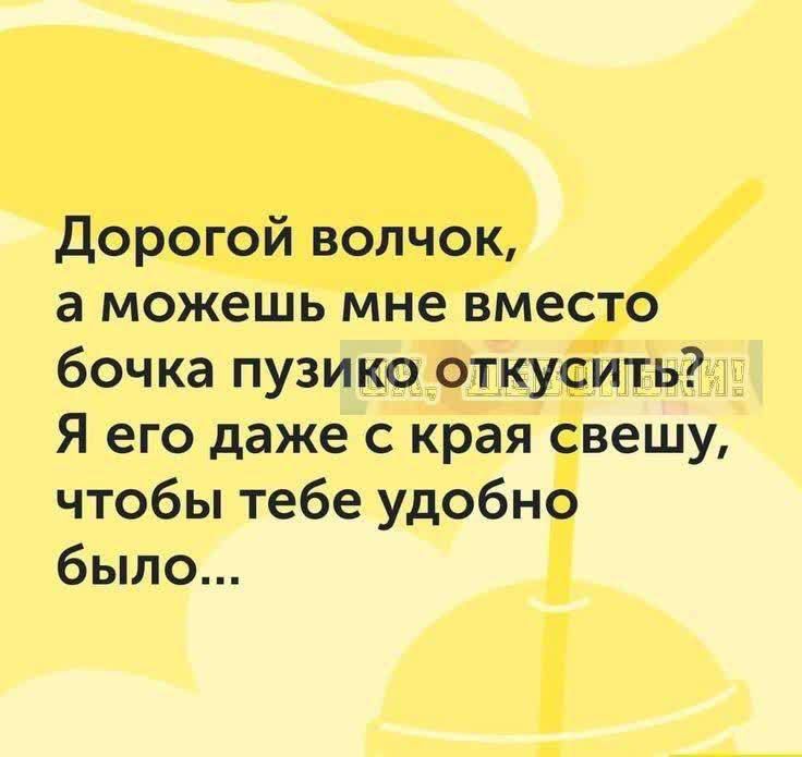 Дорогой волчок, а можешь мне вместо бочка пузыко откусить? Я его даже с края свещу, чтобы тебе удобно было...